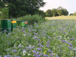 2edc9a57 8d15 4a01 8eb7 2f0daadc7b69