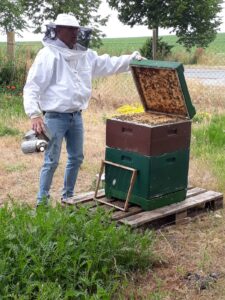 5ae9e9c5 bcb8 4ee4 a320 c3a27713d875