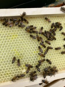 5cbc0a33 7f89 4c87 b6ae 6f7a758a1201