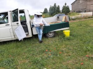 7bcadfb9 9369 4b1d 9391 03c3752cd6fc